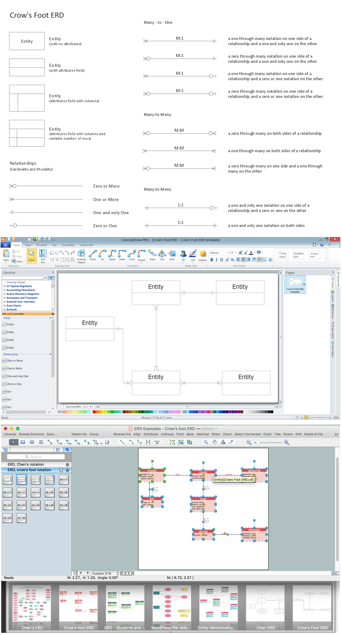 Entity Relationship Diagram | Design Element — Crows Foot for Conceptual Er Diagram Examples