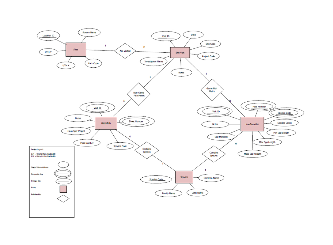 Entity Relationship Diagram Example Database Elegant 11 Unique pertaining to Er Diagram Examples For College