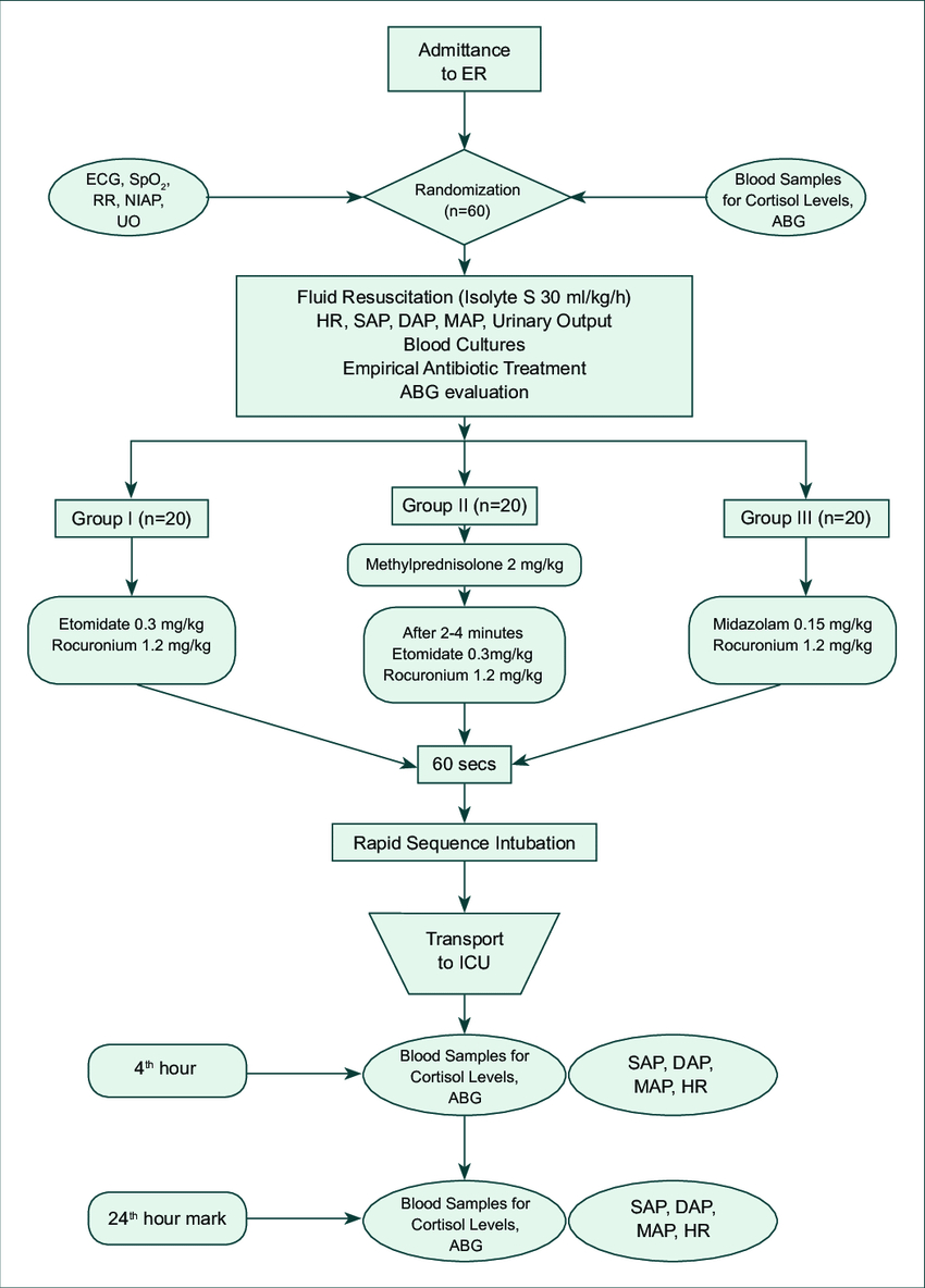 A Flow Diagram Of All Patients Intubated During The Study in Er Diagram Level 0