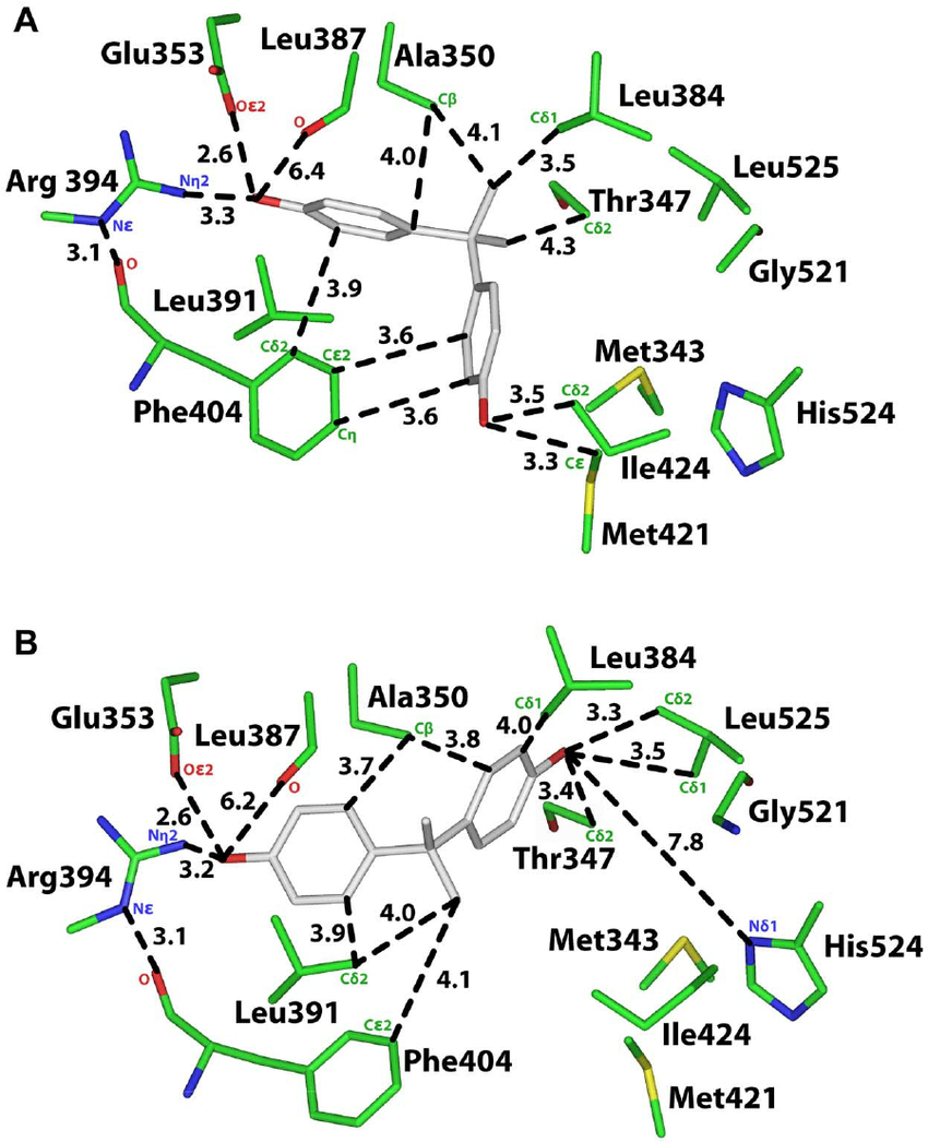 Analysis Of Two 3D Models Of Bpa In Human Er A . A. 3D Model with 3D Er Diagram