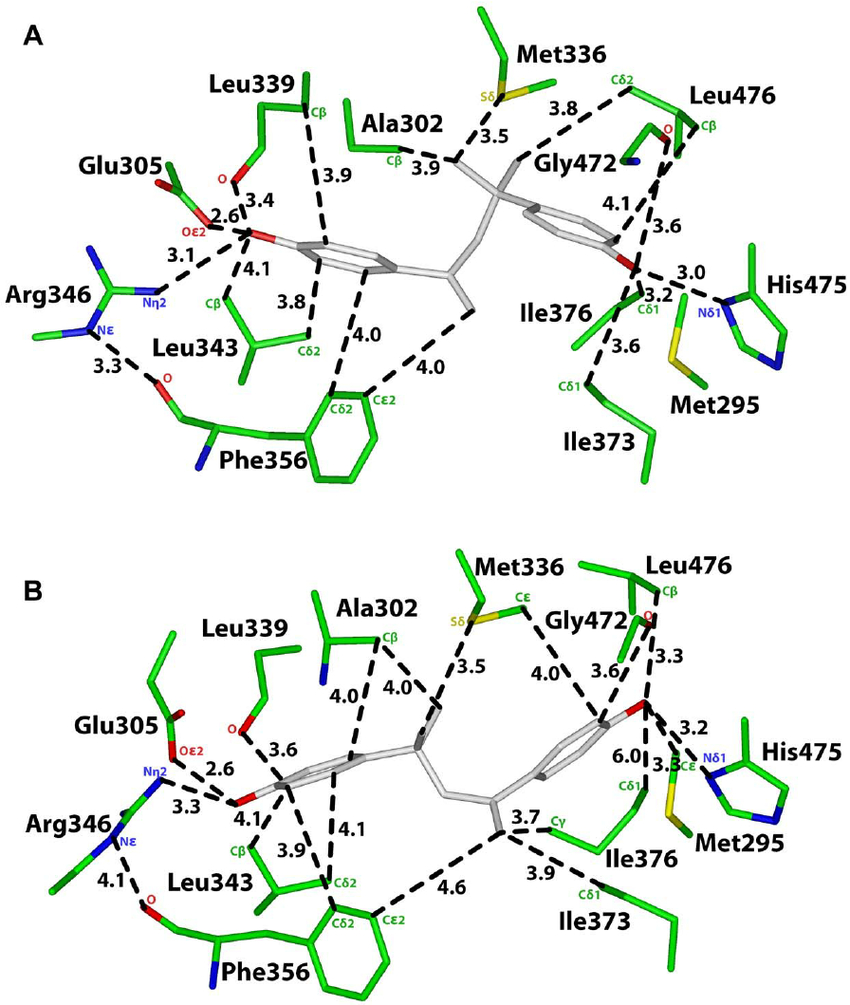 Analysis Of Two 3D Models Of Mbp In Human Er B . A. 3D Model regarding 3D Er Diagram