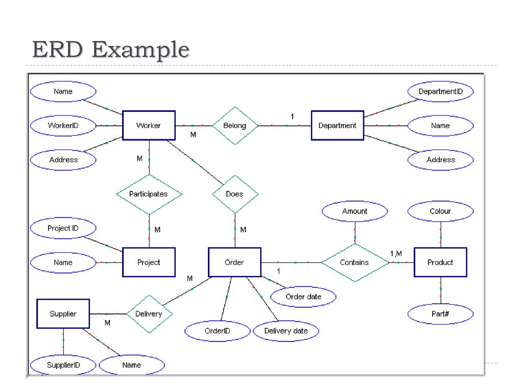 Chapter -2- Data Modeling Using The Entity-Relationship regarding Erd شرح