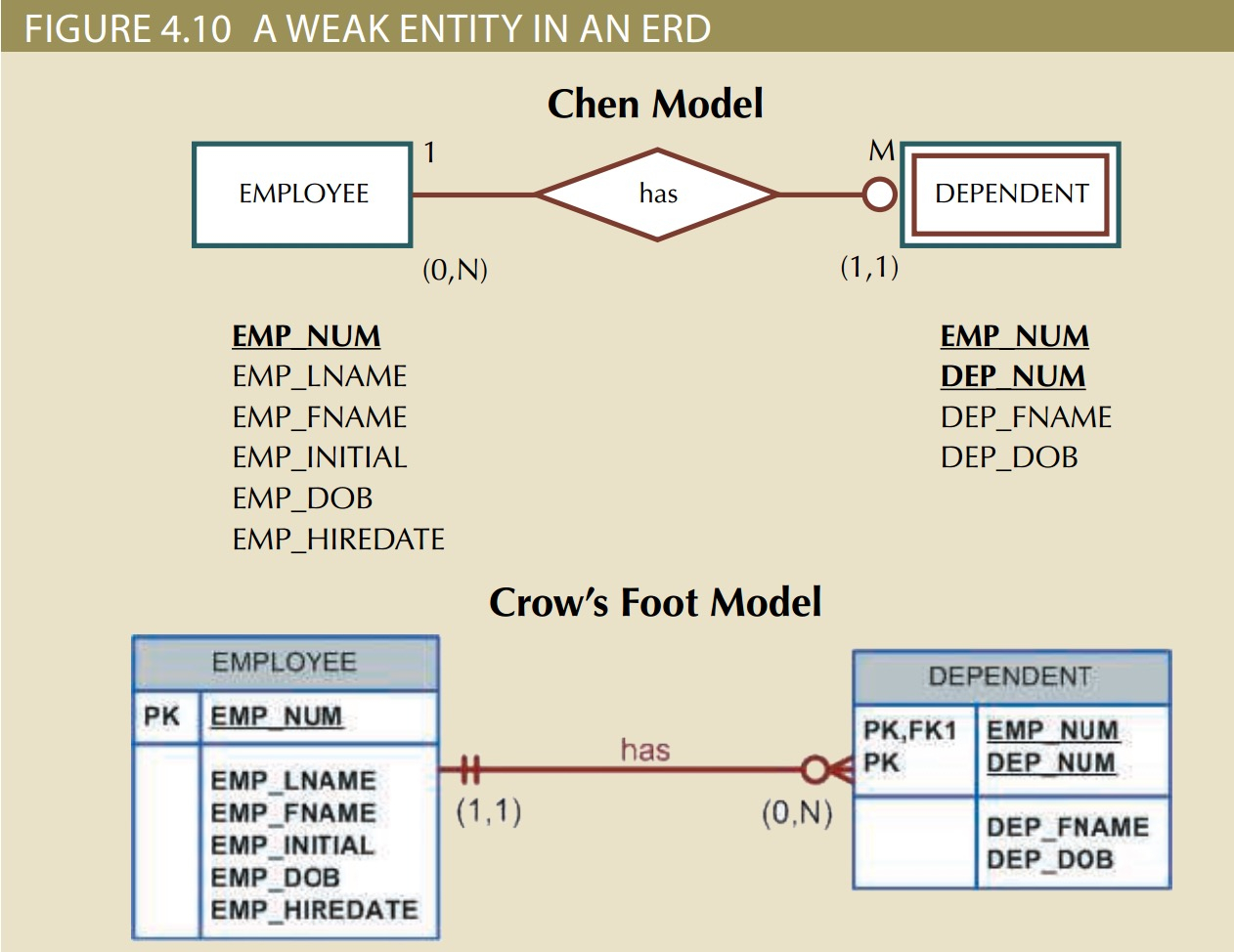 Chapter4 Entity Relationship Modeling – Technote within Er Diagram Weak Key
