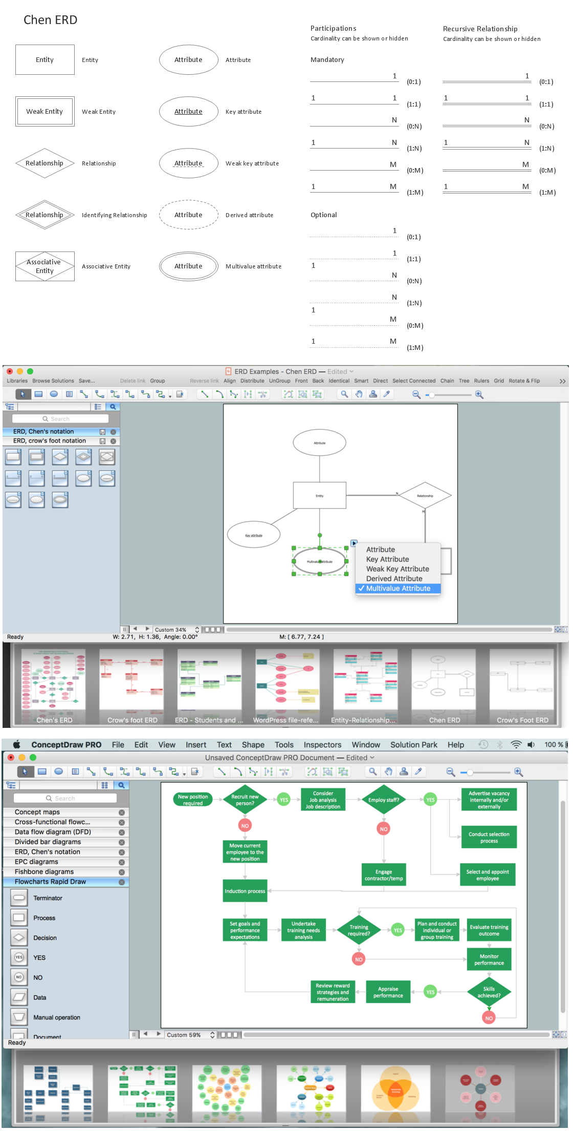 Chen Notation | Design Elements - Er Diagram (Chen Notation with Er Diagram Thick Line