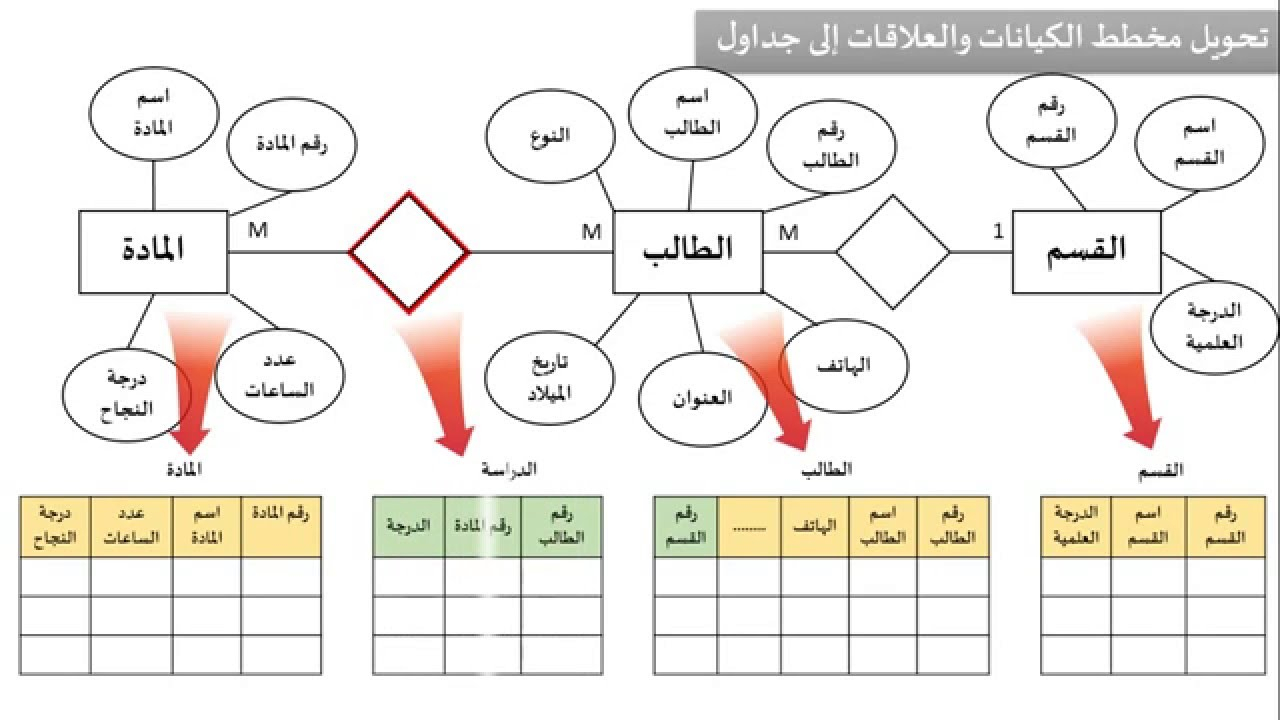 الدرس السادس : بناء مخطط الكيانات والعلاقات Entity Relationship Diagram regarding Erd شرح