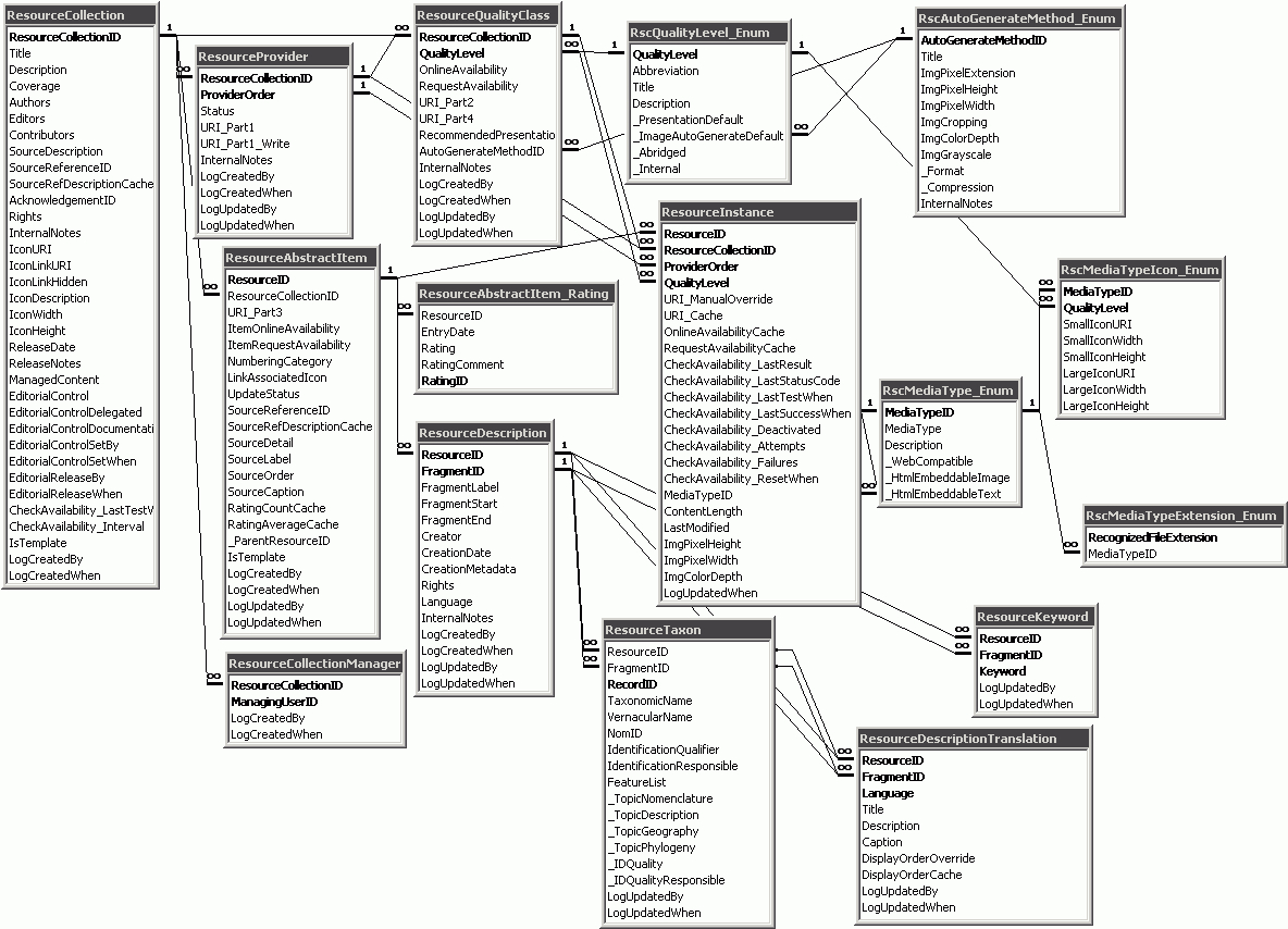 Diversityresources Information Model with regard to Er Diagram Using Visio 2016