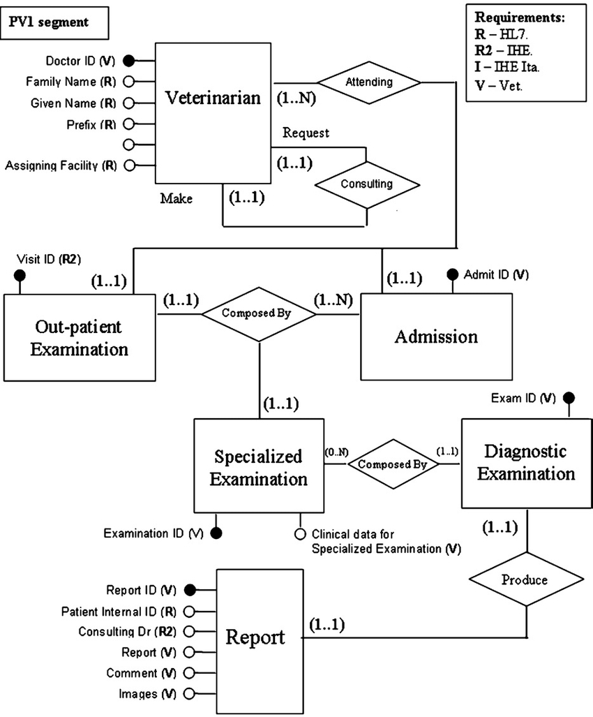 Entity: Relationship Model; The Veterinary Electronic with Er Diagram In Access 2007