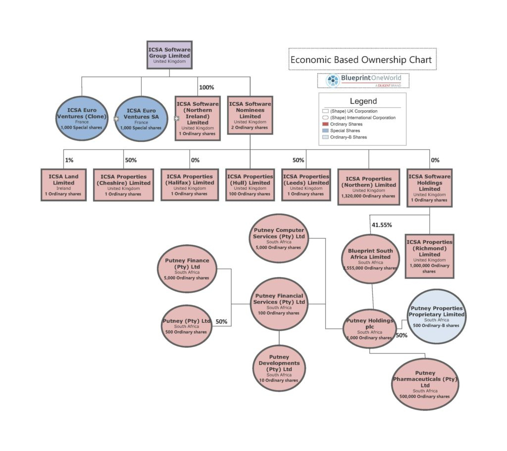 Entity Organization Chart Shapes