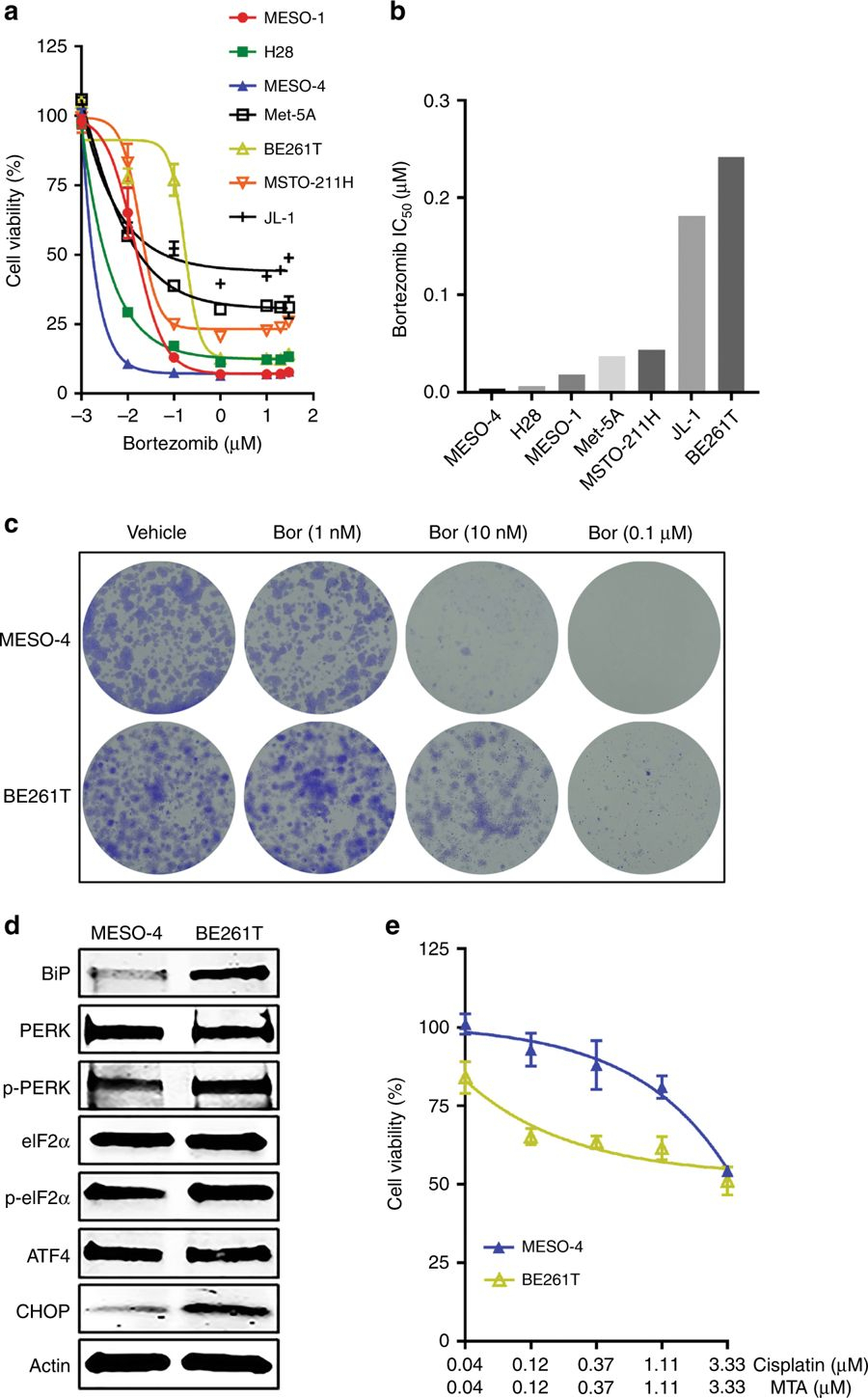 Fig. 5: | British Journal Of Cancer intended for Er Diagram Journal