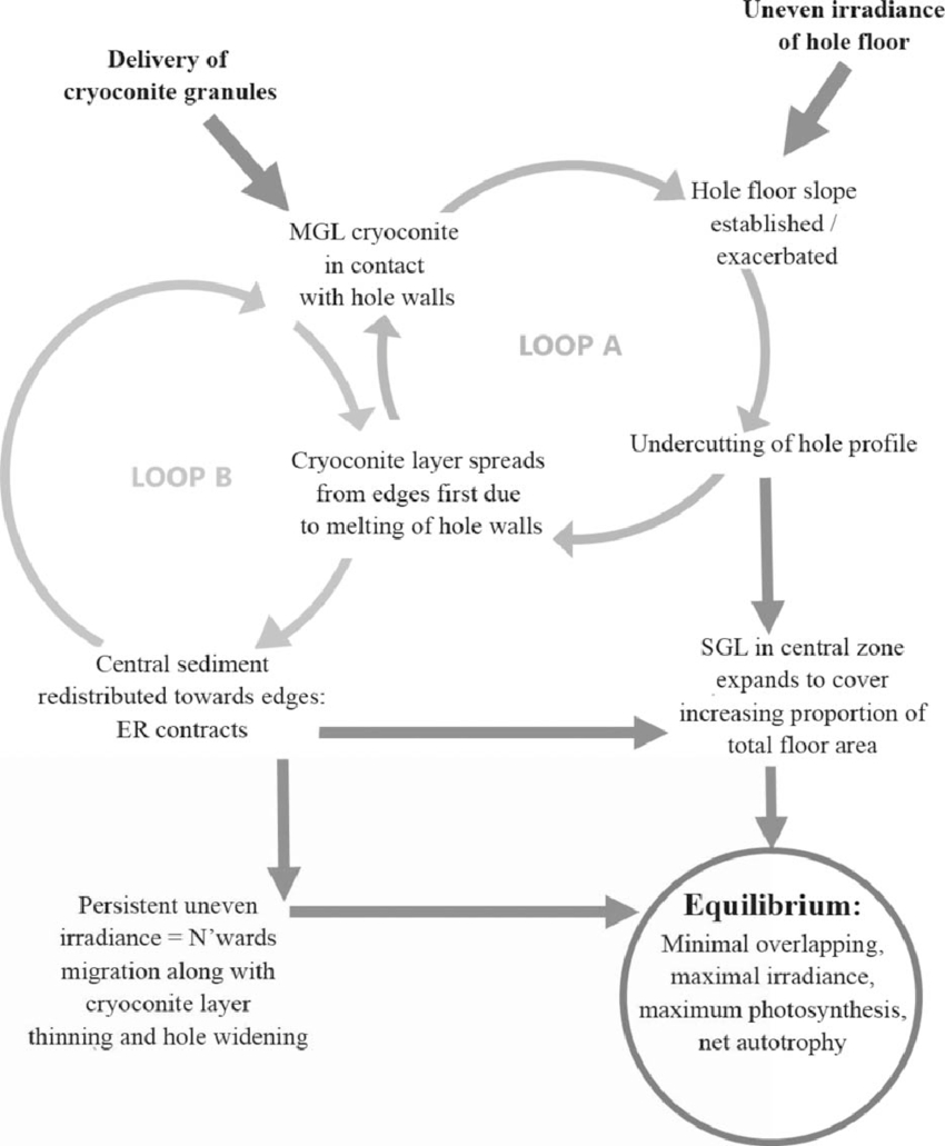 Flow Diagram Illustrating The Proposed Mechanism Of Lateral regarding Er Diagram Loop