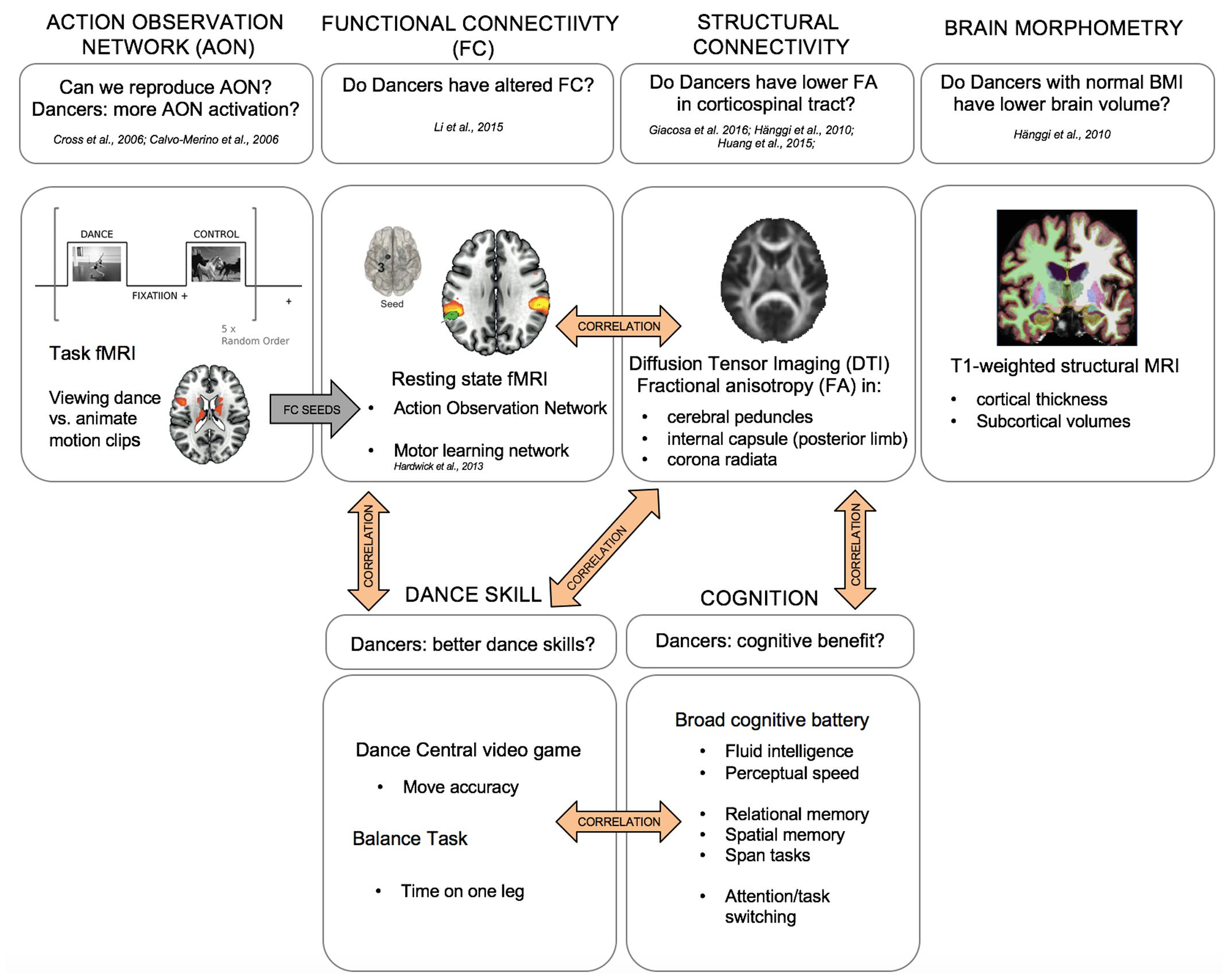 Frontiers | The Dancing Brain: Structural And Functional intended for Er Diagram In - Dance Class