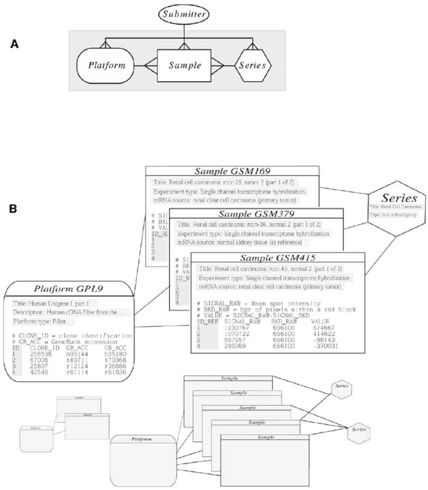 Geo Schema And Example. (A) The Entity-Relationship Diagram with regard to Relationship Diagram Example