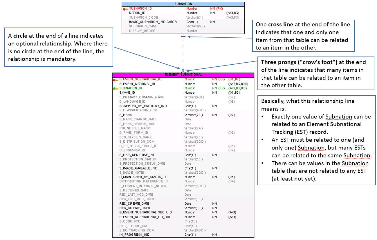 How To Read A Relational Data Model for Data Model Relationships