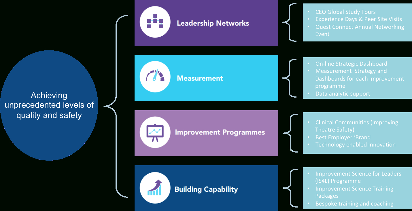 Nhs Quest Driver Diagram January 18 - Quest inside Driver Diagram