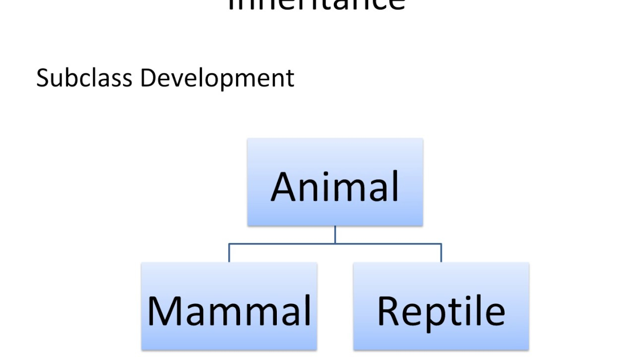 Zoo Vid 6 Inheritance Class Diagrams intended for Er Diagram For Zoo Management System