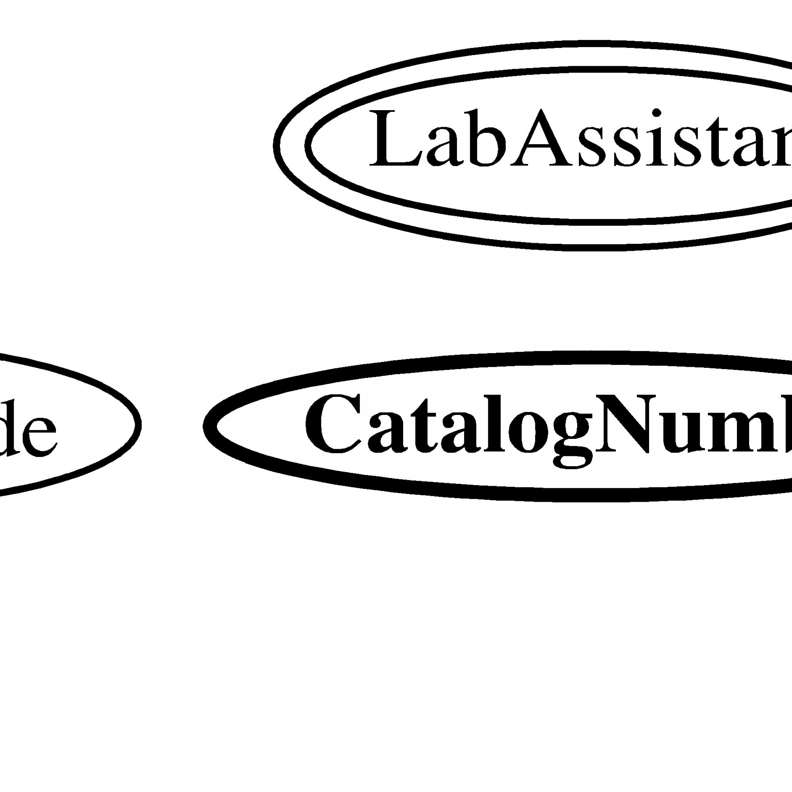 Entity-Relationship Model in What Is Er Model