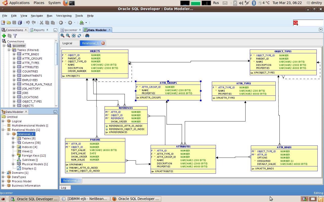 Oracle Sql Developer 2.1.1, Data Modeler Viewer Plugin inside Er Modeler