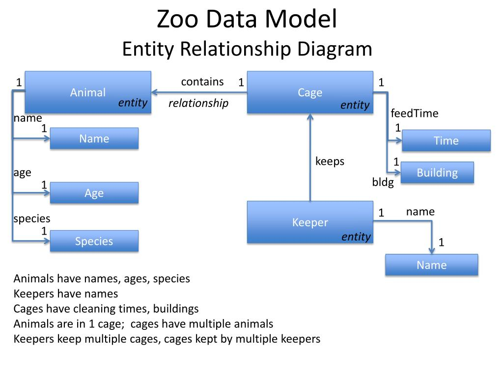 Ppt - Introduction To Databases Powerpoint Presentation with Er Diagram Zoo