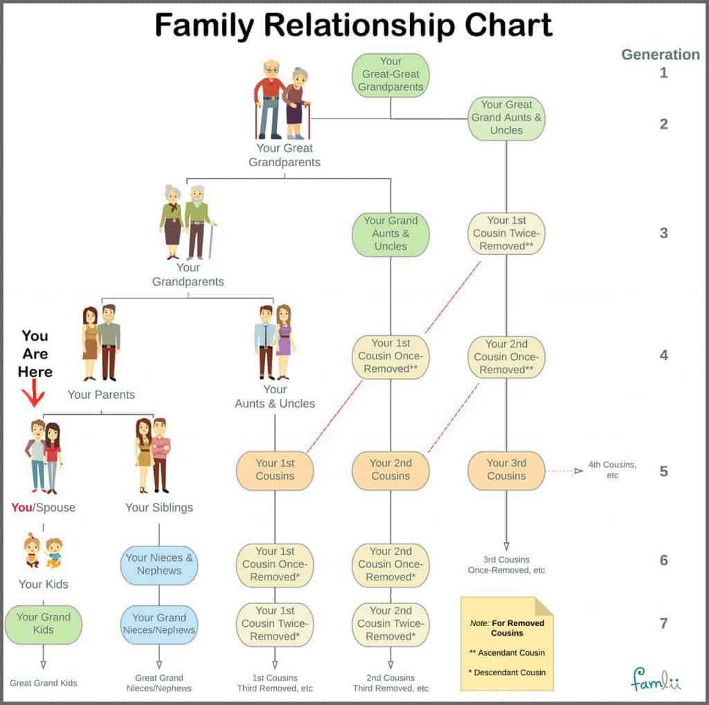 Relational Chart - Marta.innovations2019 in Relational Chart