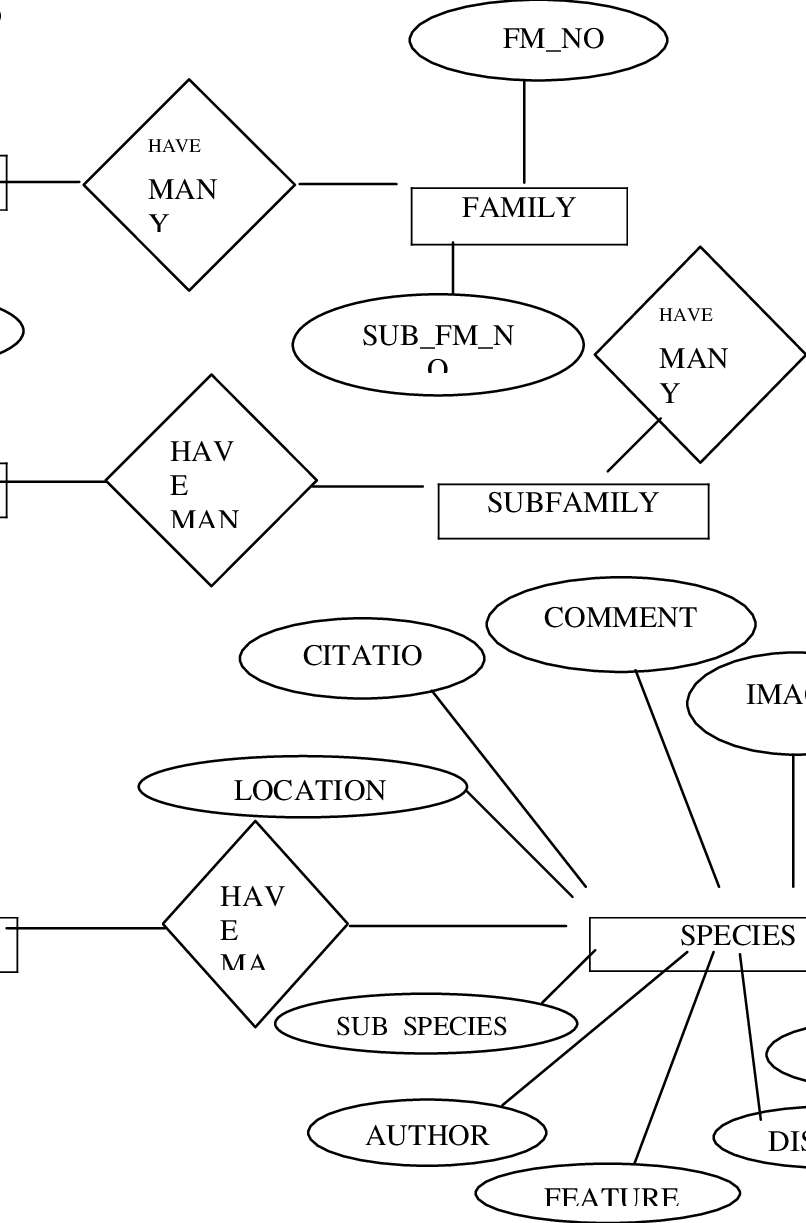 The Design Of The Database Based On The Entity Relationship with What Is An Erd In Database Design